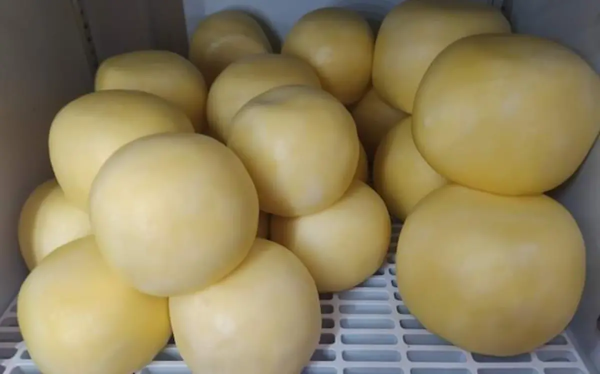 Queso de bola